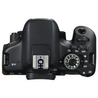 Review NIKON D3500